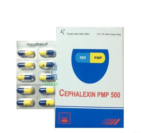 Cephalexin Pmp Mg Pymepharco H V